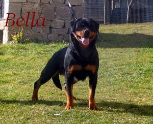 Bella vom oberpfalzer wald dkk